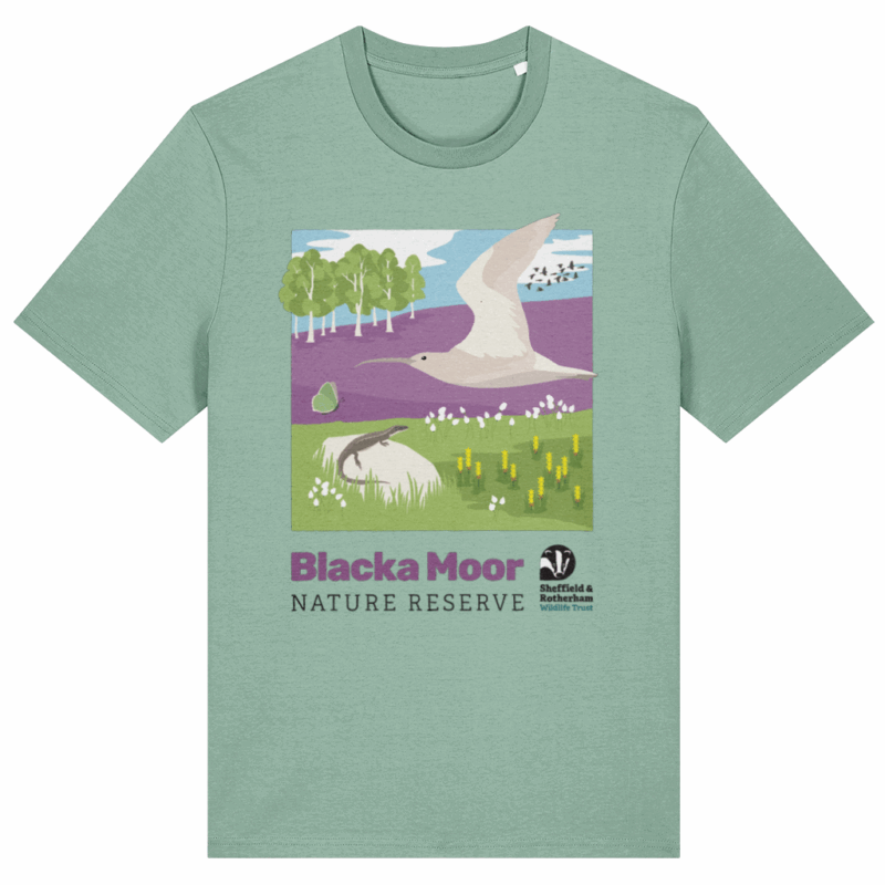 Blacka Moor T-Shirt in Aloe Colour