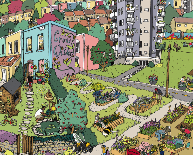 Nature Recovery Sheffield Banner showing urban gardening