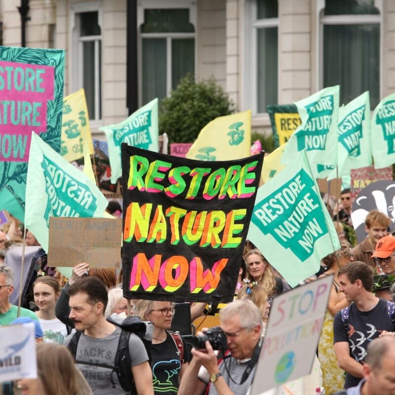 restore nature now march