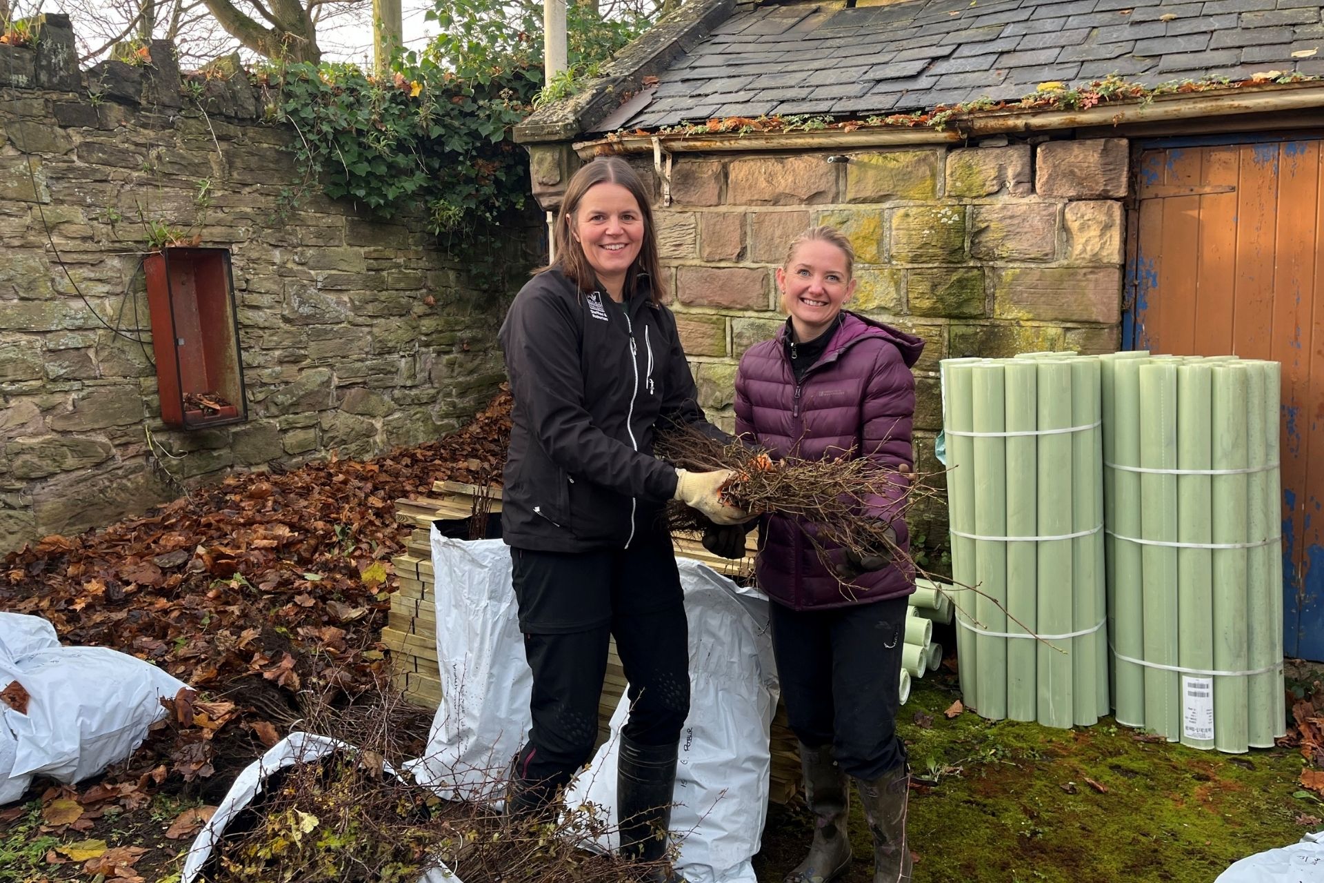 Highlighting our hedgerows