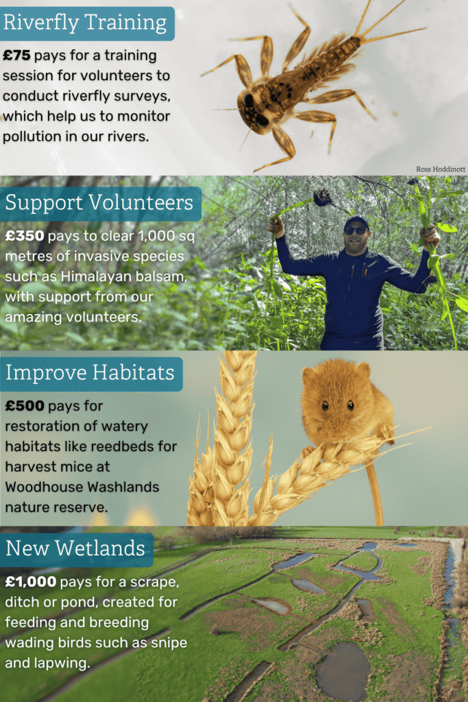 Examples of what the money raised through the Living Waters appeal  could pay for