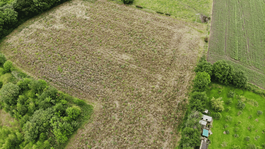BEFORE Woodland Planting on Roger Royd Farm, credit Jim Logan