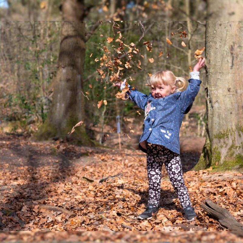 A child playing with leaves in Ecclesall Wood