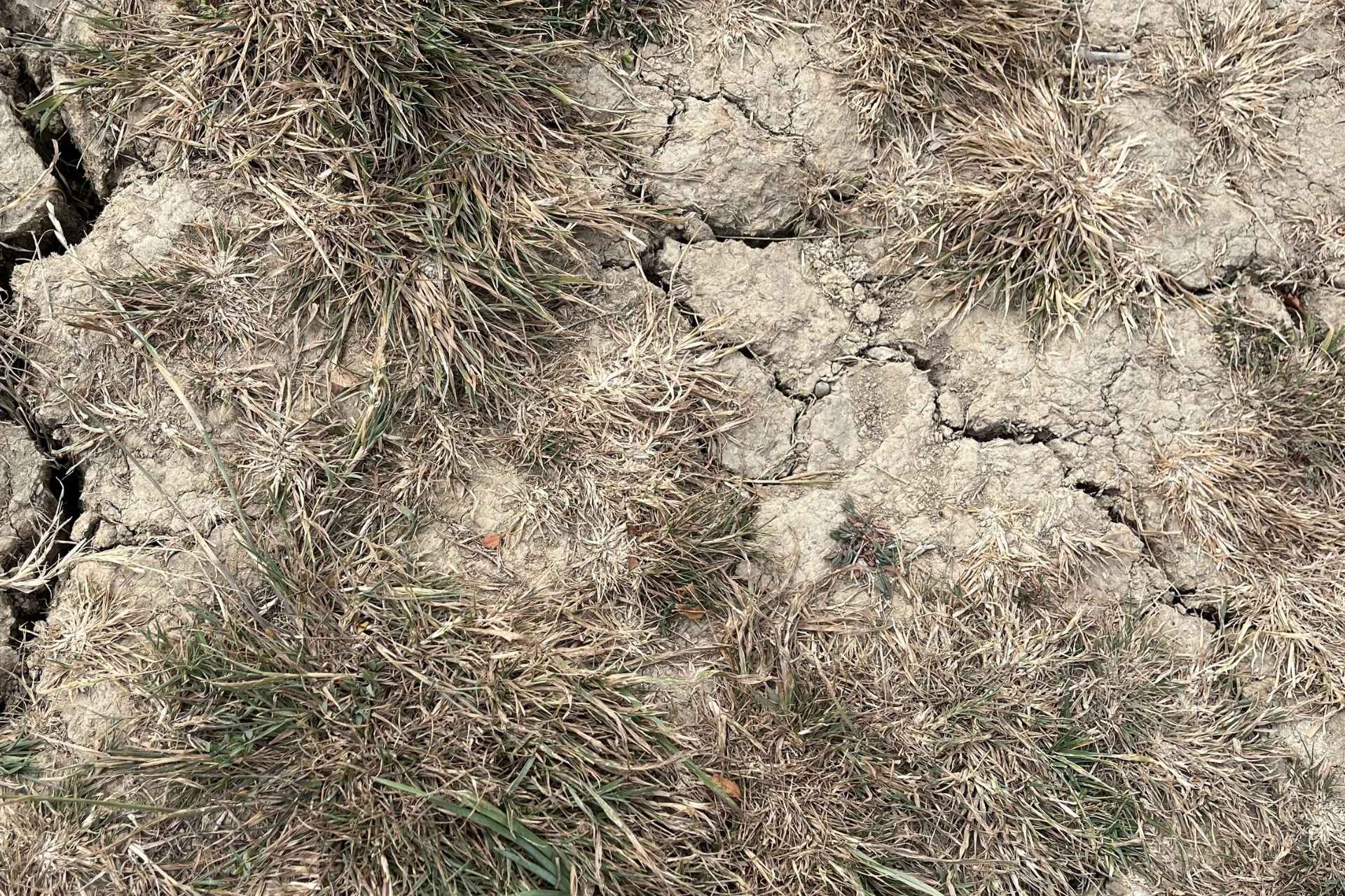 Cracked earth