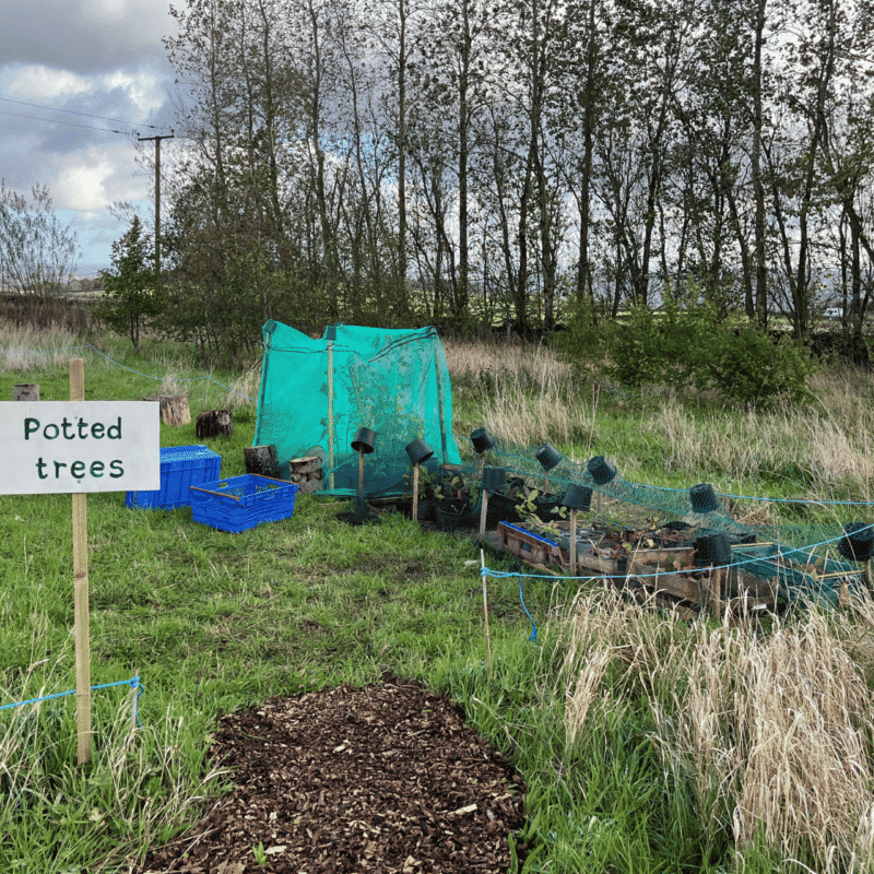 Kids Plant Trees Community Tree Nursery